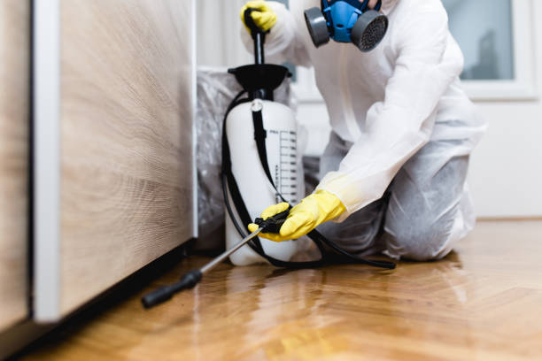 Best Pest Removal Services  in Matamoras, OH