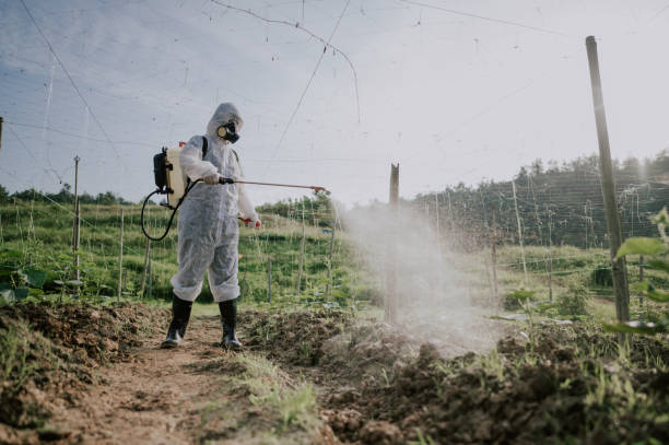 Best Pest Prevention Services  in Matamoras, OH