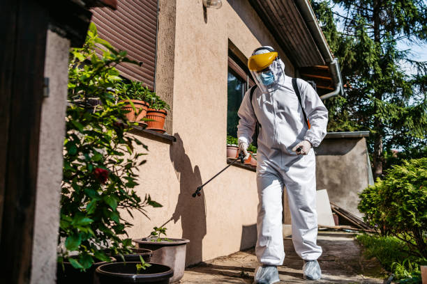 Best Flea Control Services  in Matamoras, OH