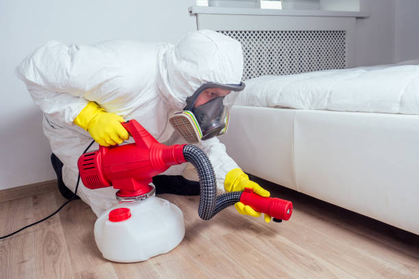 Best Local Pest Control Services  in Matamoras, OH