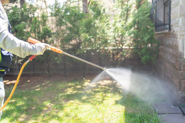 Best Termite Control Services  in Matamoras, OH