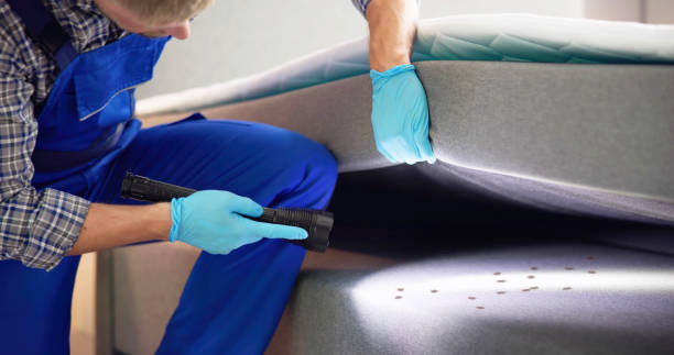 Pest Prevention Services in Matamoras, OH