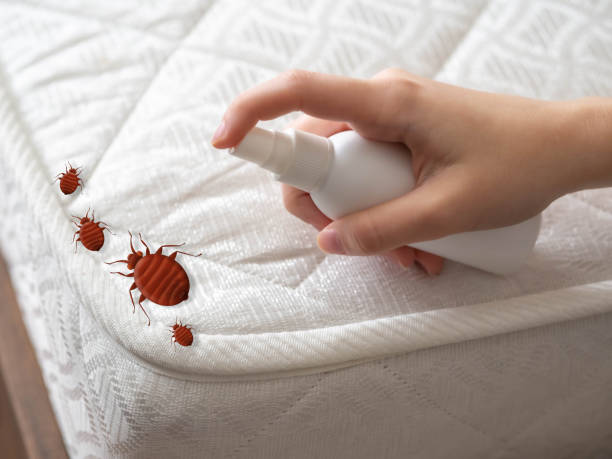 Best Commercial Pest Control Services  in Matamoras, OH