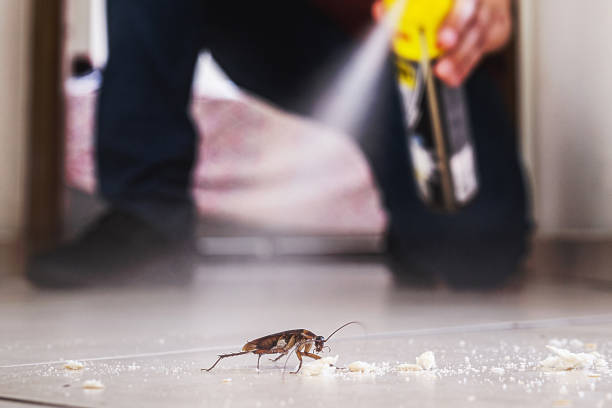 Wildlife Control Services in Matamoras, OH