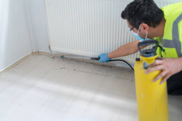Reliable Matamoras, OH Pest Control Solutions