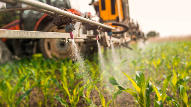 Best Commercial Pest Control Services  in Matamoras, OH